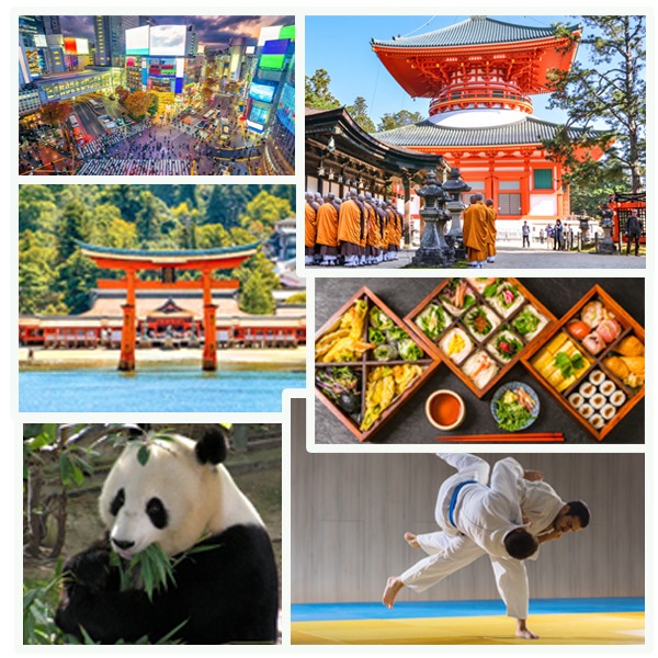 India Japan Business and Cultural Council - About Japan 